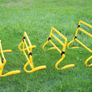prepona pvc