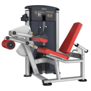 IT9506 SEATED LEG CURL