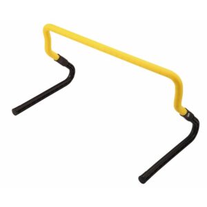 PREPONA PVC 45X30cm - Training Hurdles