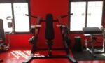 Shoulder Press SL7003 - profesionalna naprava za ramena - slika 4