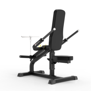 IFP1706 Biceps/Trips Impulze
