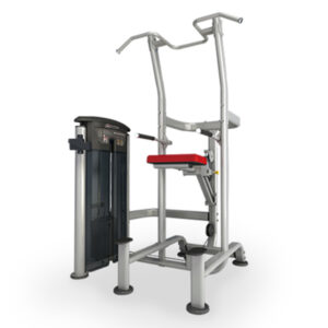 IT9520 WEIGHT ASSISTED CHIN/DIP COMBO