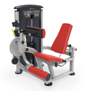 IT9528 LEG EXTENSION/LEG CURL