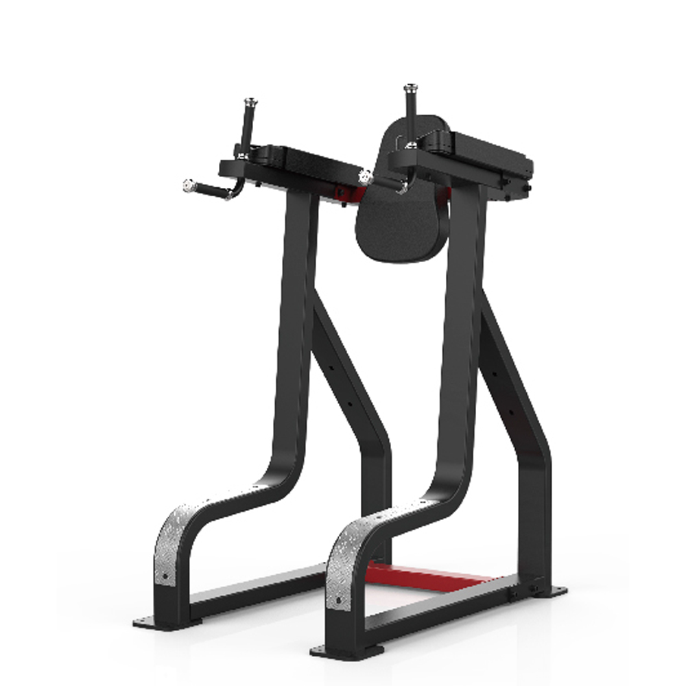 sl7045 SL7045 VERTICAL KNEE RAISE/DIP STAND - slika 1